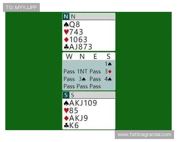 百家乐游戏规则图解详细解析，帮助新手快速掌握玩法技巧与策略指南