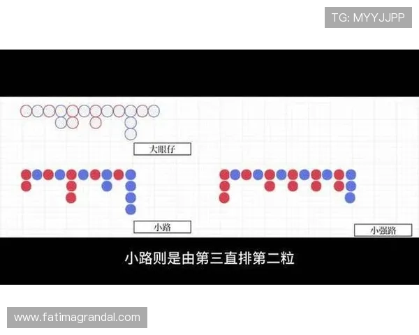全面掌握百家乐路单教程帮助新手快速理解不同路单类型的使用方法